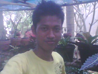 Kawel